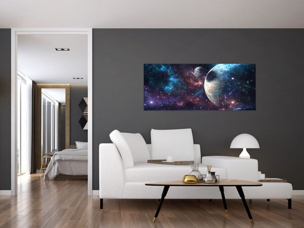 Tablou cu cosmos (120x50 cm)