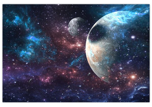 Tablou cu cosmos (90x60 cm)