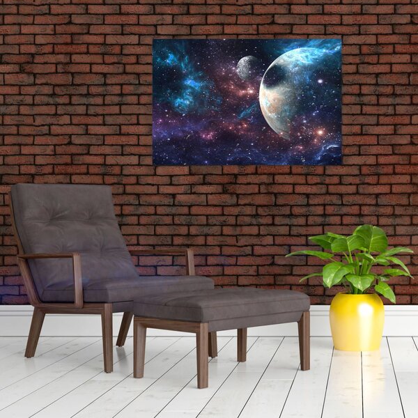 Tablou cu cosmos (90x60 cm)