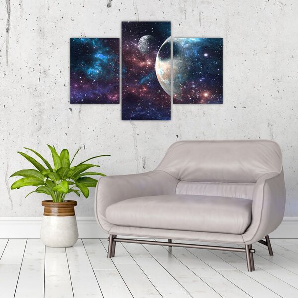 Tablou cu cosmos (90x60 cm)