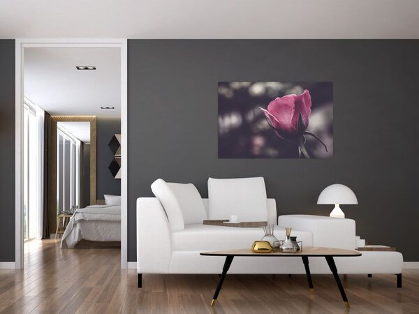 Tablou - Detaliu florii de trandafir (90x60 cm)