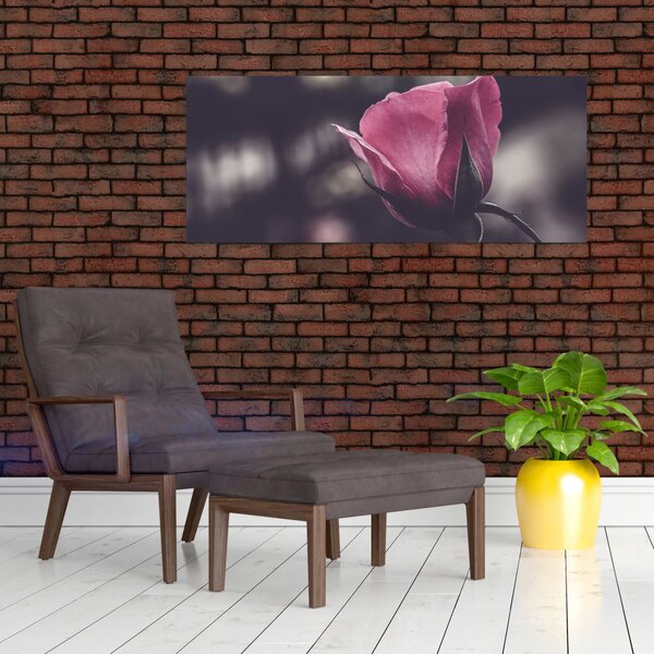 Tablou - Detaliu florii de trandafir (120x50 cm)