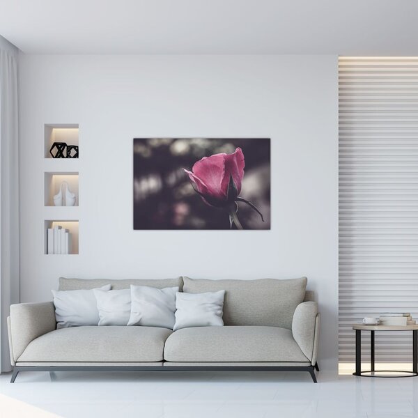 Tablou - Detaliu florii de trandafir (90x60 cm)