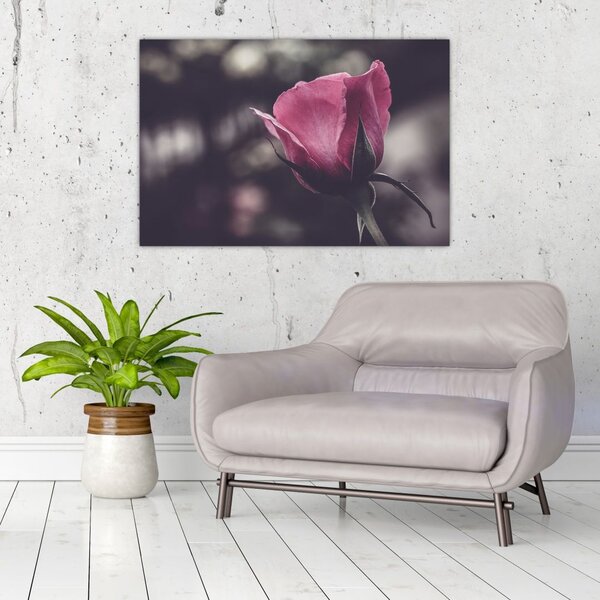 Tablou - Detaliu florii de trandafir (90x60 cm)
