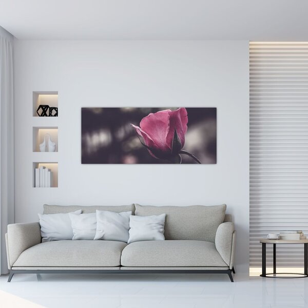 Tablou - Detaliu florii de trandafir (120x50 cm)