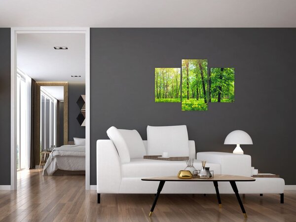 Tablou - Pădurea cu frunze de primăvară (90x60 cm)