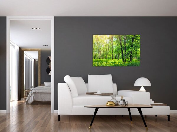 Tablou - Pădurea cu frunze de primăvară (90x60 cm)