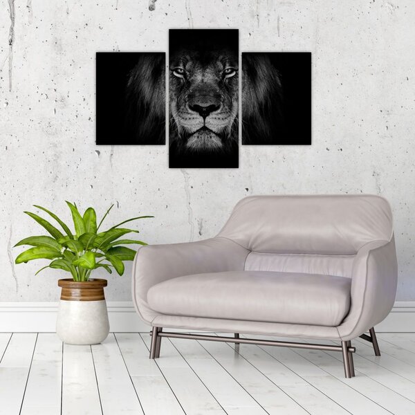 Tablou - Leu majestic (90x60 cm)
