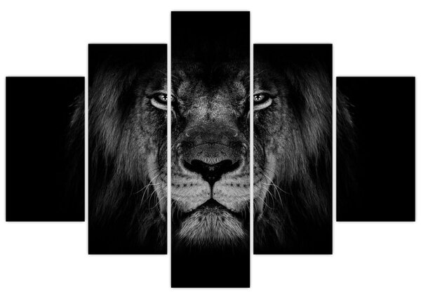 Tablou - Leu majestic (150x105 cm)