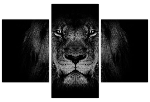 Tablou - Leu majestic (90x60 cm)