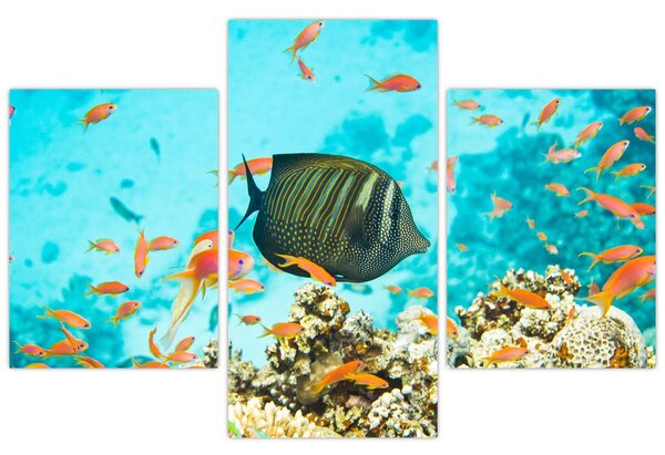 Tablou lumii submarine (90x60 cm)