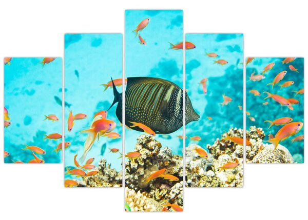 Tablou lumii submarine (150x105 cm)