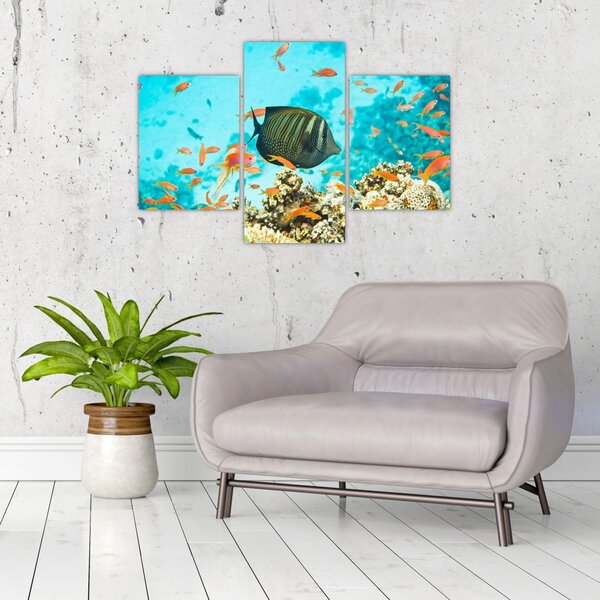 Tablou lumii submarine (90x60 cm)
