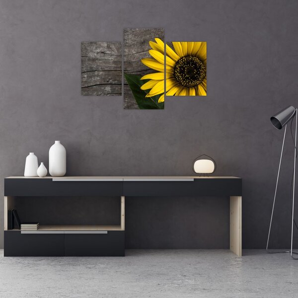 Tablou - Floare de floarea soarelui (90x60 cm)