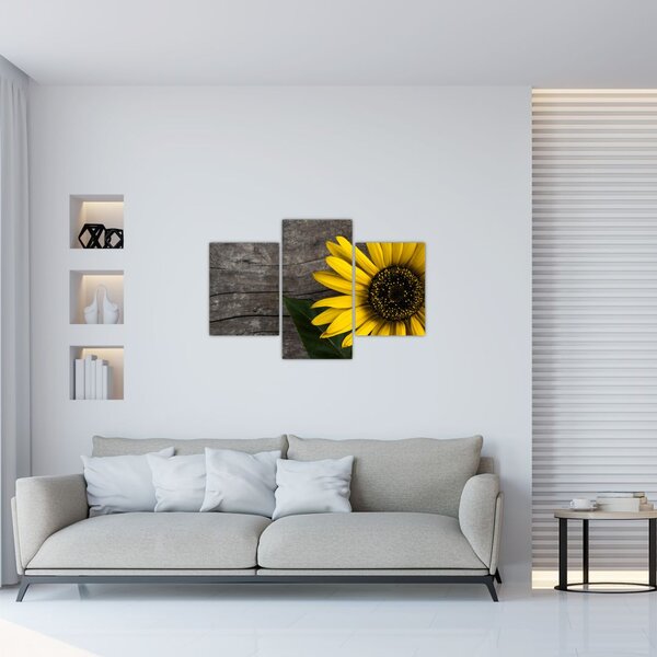 Tablou - Floare de floarea soarelui (90x60 cm)
