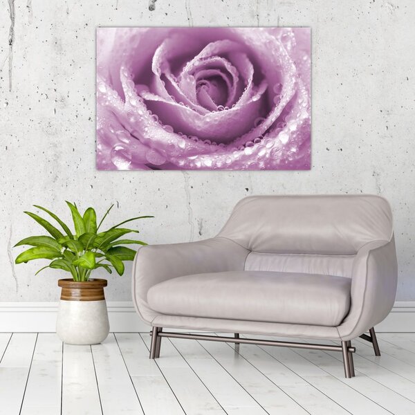Tablou detaliu de floare de trandafir (90x60 cm)