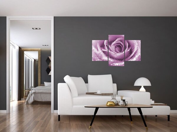 Tablou detaliu de floare de trandafir (90x60 cm)