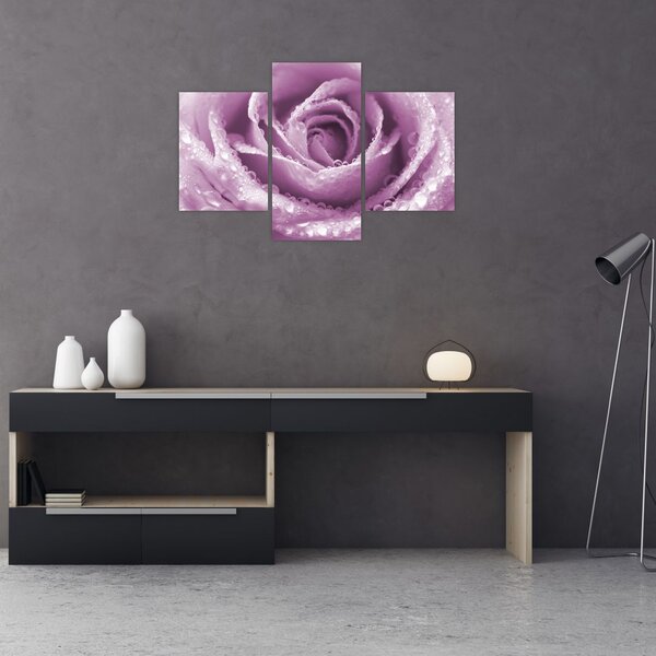 Tablou detaliu de floare de trandafir (90x60 cm)
