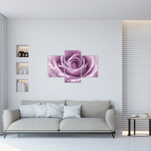 Tablou detaliu de floare de trandafir (90x60 cm)