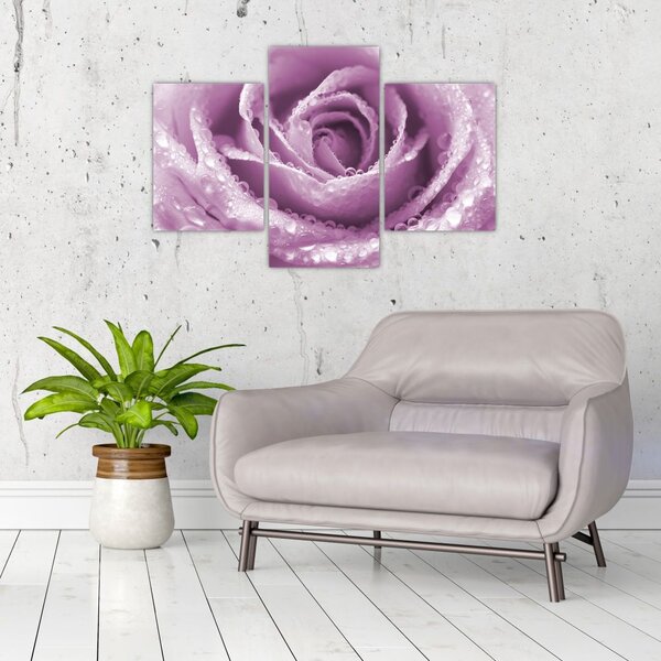 Tablou detaliu de floare de trandafir (90x60 cm)