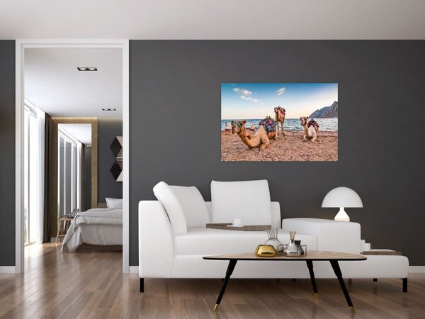 Tablou cu cămile (90x60 cm)