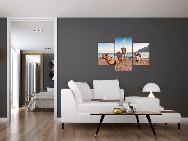 Tablou cu cămile (90x60 cm)