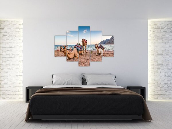 Tablou cu cămile (150x105 cm)