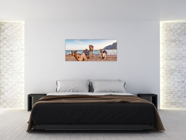 Tablou cu cămile (120x50 cm)