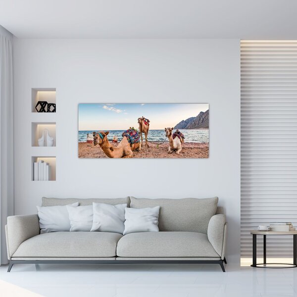 Tablou cu cămile (120x50 cm)