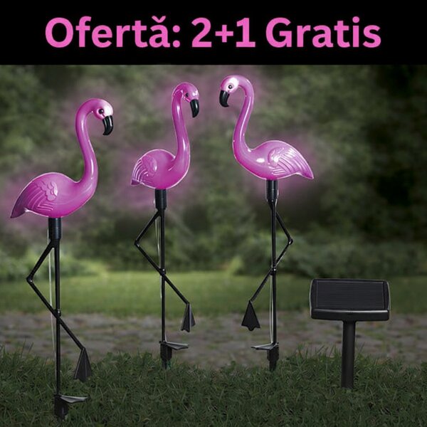 Set 3 x Lampa solara pentru gradina, 52 cm, Flamingo