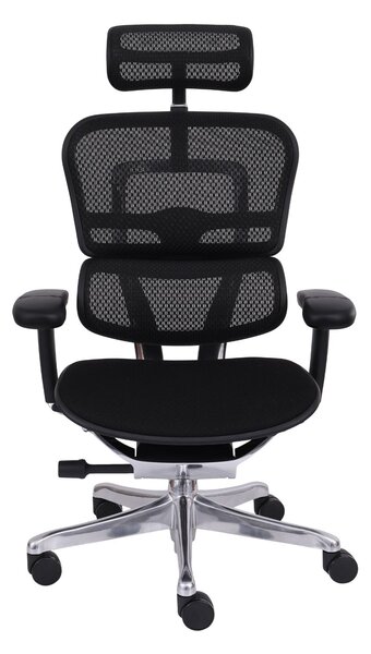 Scaun de birou Ergohuman 2 Elite BT Black