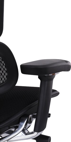 Scaun de birou Ergohuman 2 Elite BT Black