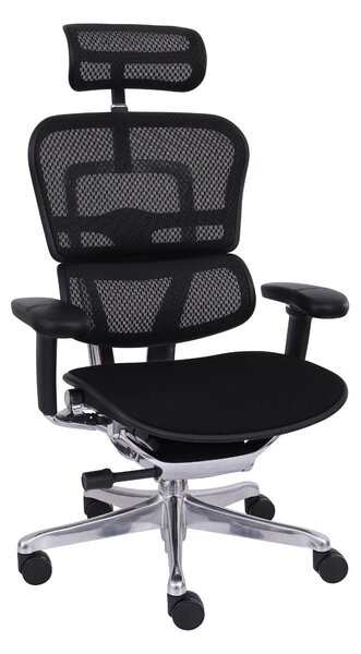 Scaun de birou Ergohuman 2 Elite BT Black