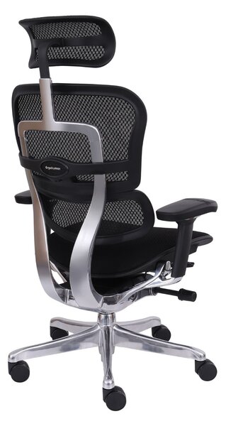 Scaun de birou Ergohuman 2 Elite BT Black