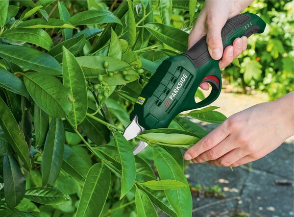 Foarfeca de gradina Parkside fara fir de 4V, cu acumulator inclus