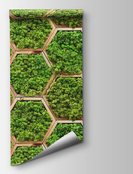Fototapet Perete de plante în hexagoane, Fototapet 3D, Fototapet populare, u95502 - Tapeko.ro