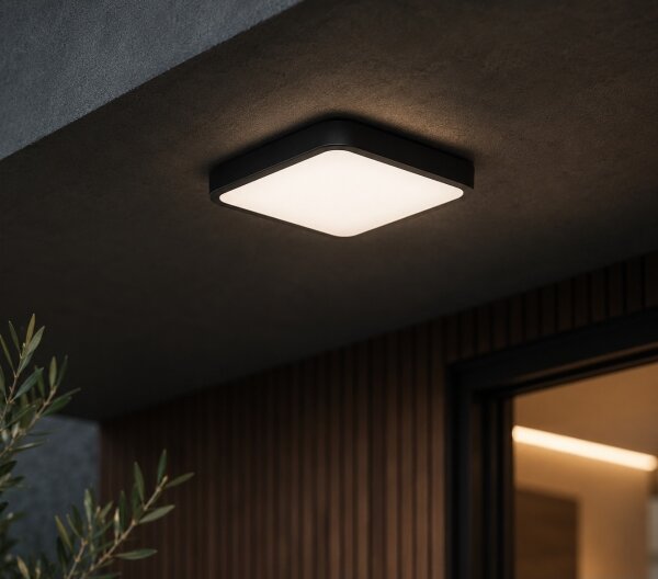 Brilagi - Plafonieră LED ZENNA, 12W/230V, 24x24 cm, IP44, neagră