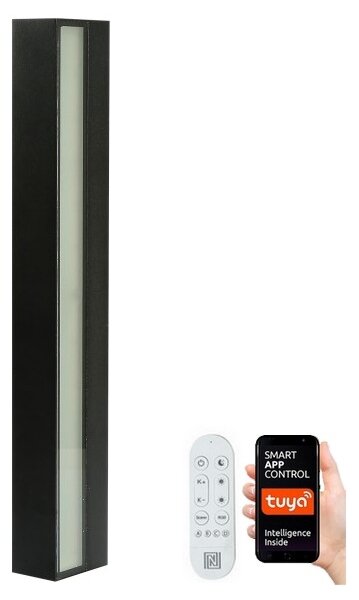Aplică LED dimabilă de exterior Immax NEO 07247L 40W/230V Wi-Fi Tuya IP44 + telecomandă