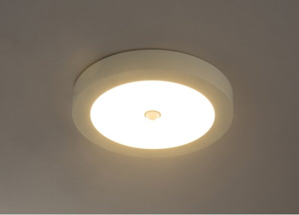 GLOBO 41605-18S - Plafonieră LED de exterior cu senzor PAULA LED/18W/230V