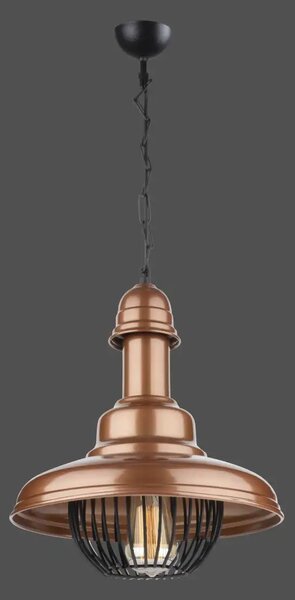 Lustra homs ro11443