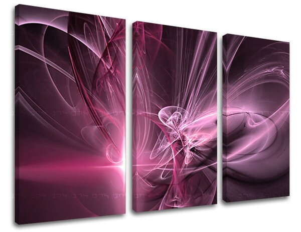 Tablouri canvas 3 - piese ABSTRACT AB046E30