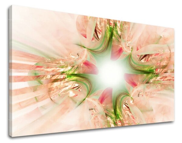 Tablouri canvas ABSTRACT AB059E11