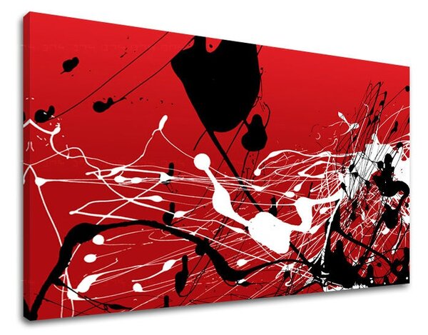 Tablouri canvas ABSTRACT AB096E11