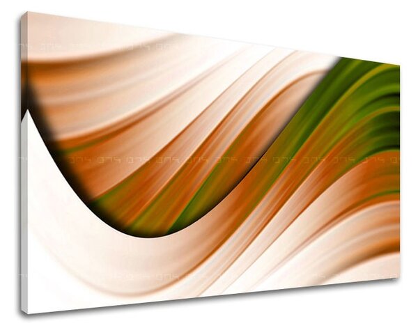 Tablouri canvas ABSTRACT AB115E11