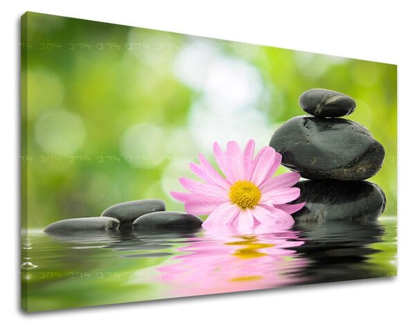 Tablouri canvas FENG SHUI FS009E11
