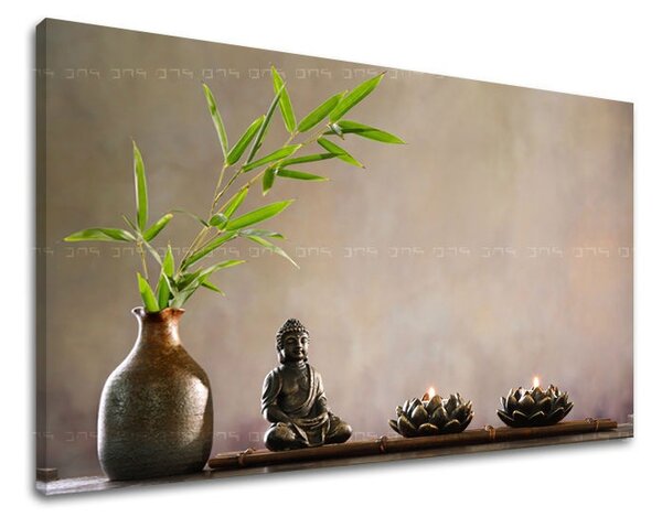 Tablouri canvas FENG SHUI FS014E11