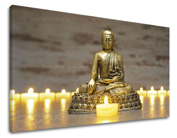 Tablouri canvas FENG SHUI FS022E11