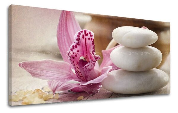 Tablouri canvas FENG SHUI Panorama FS017E13