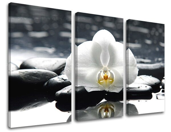 Tablouri canvas 3 - piese FENG SHUI FS018E30