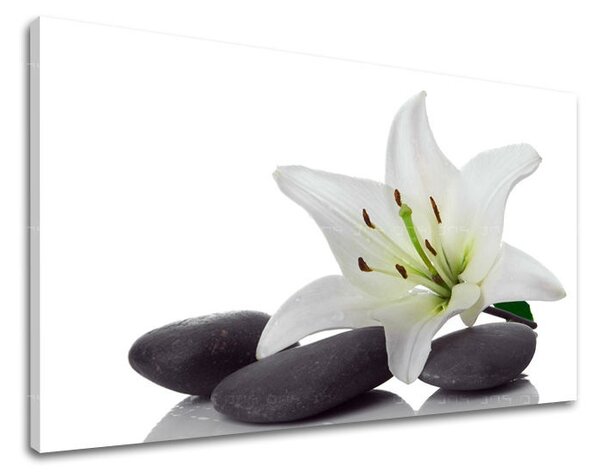 Tablouri canvas FENG SHUI FS029E11